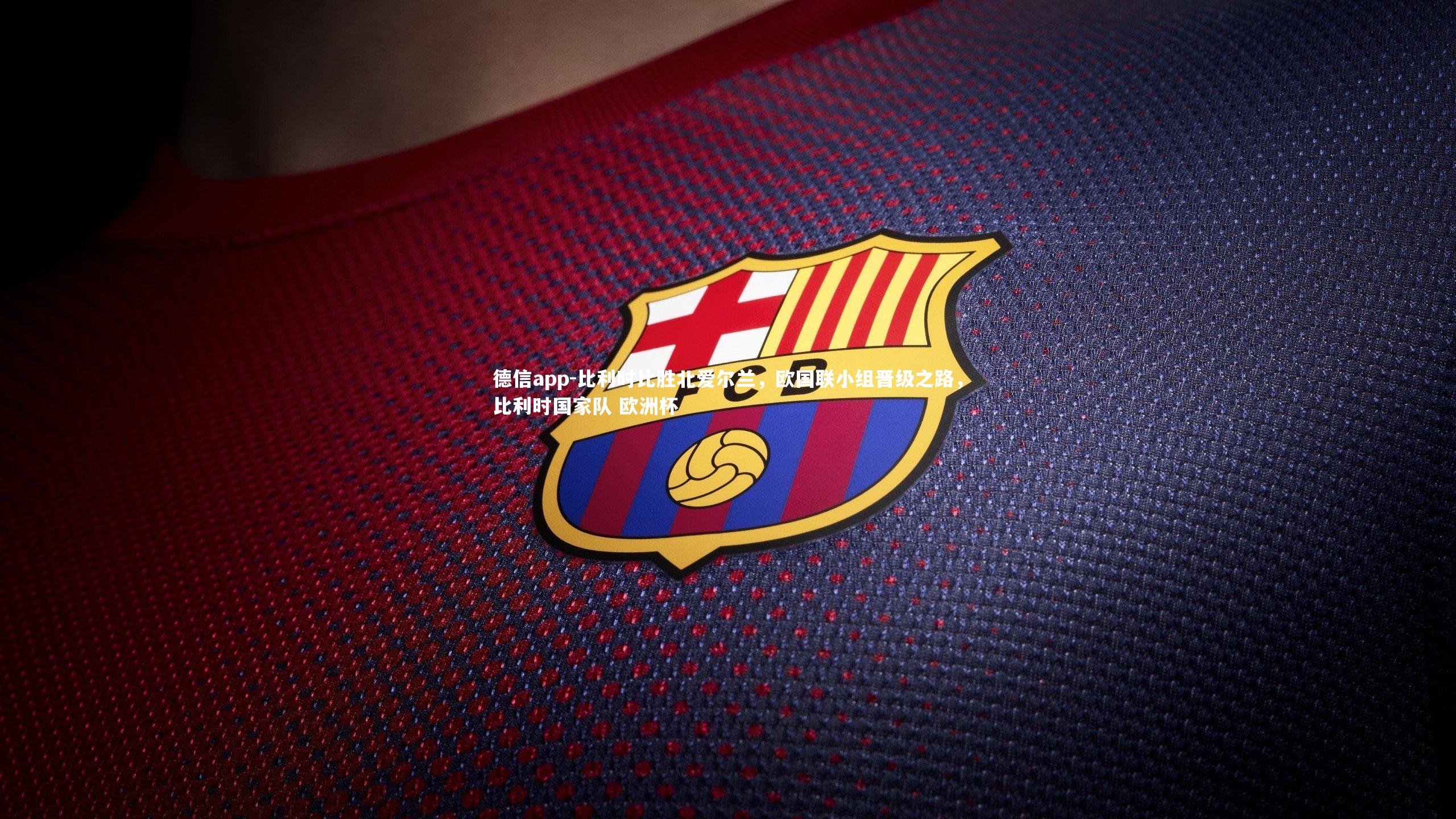 比利时比胜北爱尔兰，欧国联小组晋级之路，比利时国家队 欧洲杯